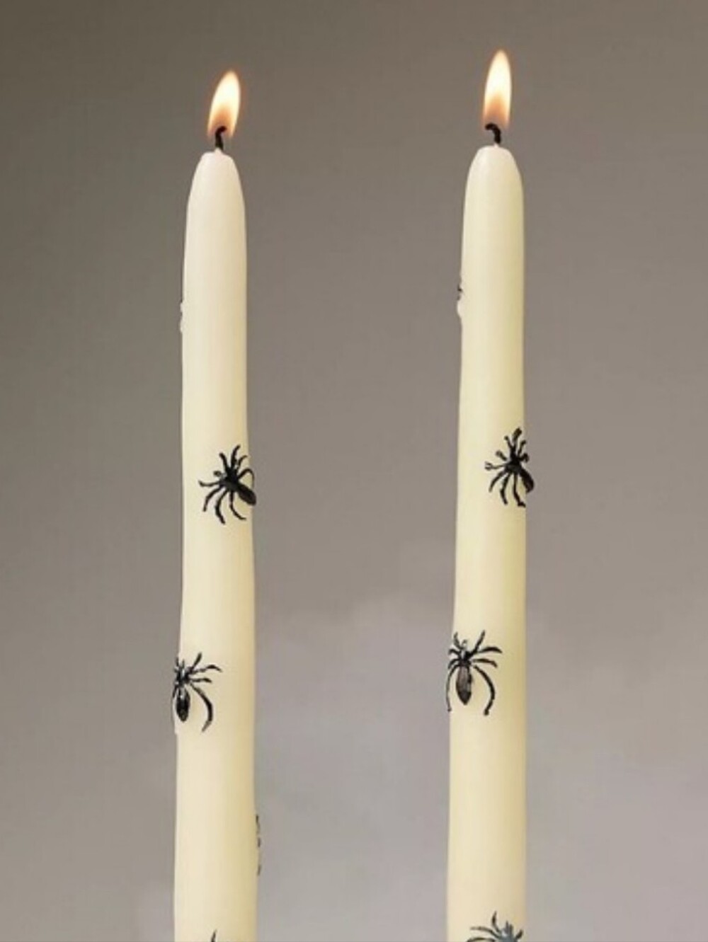 Anthropologie NWT 2-Pc Set Spider Icon Taper Candles In Cream/Black